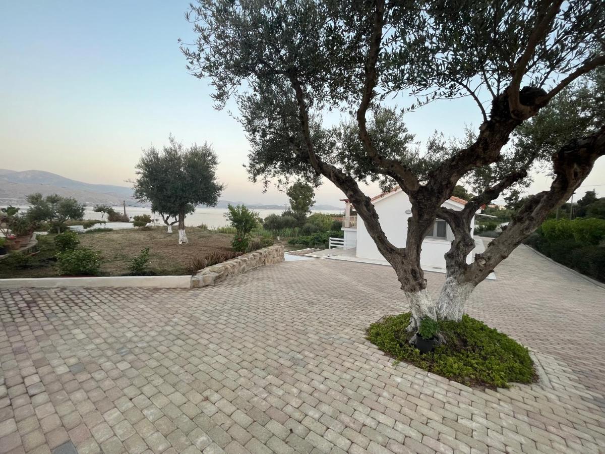 ליקסורי Apollonides Seafront Villa 2 Melete מראה חיצוני תמונה