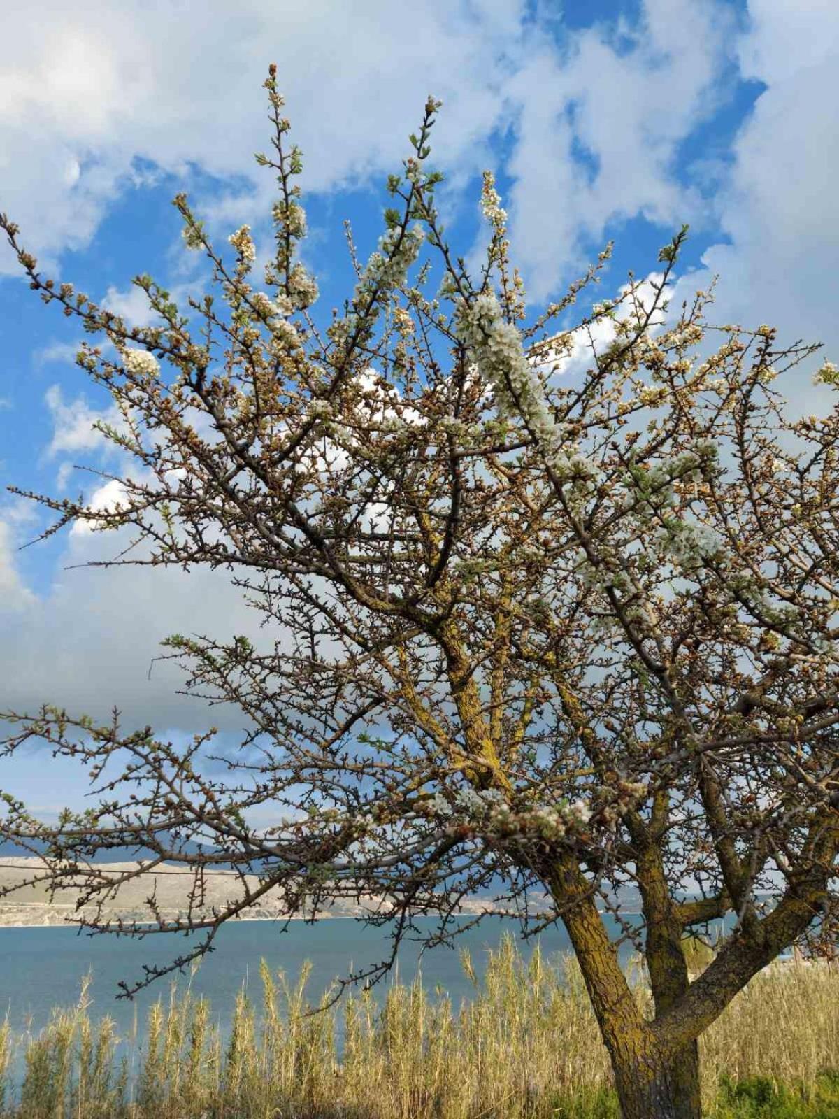 ליקסורי Apollonides Seafront Villa 2 Melete מראה חיצוני תמונה